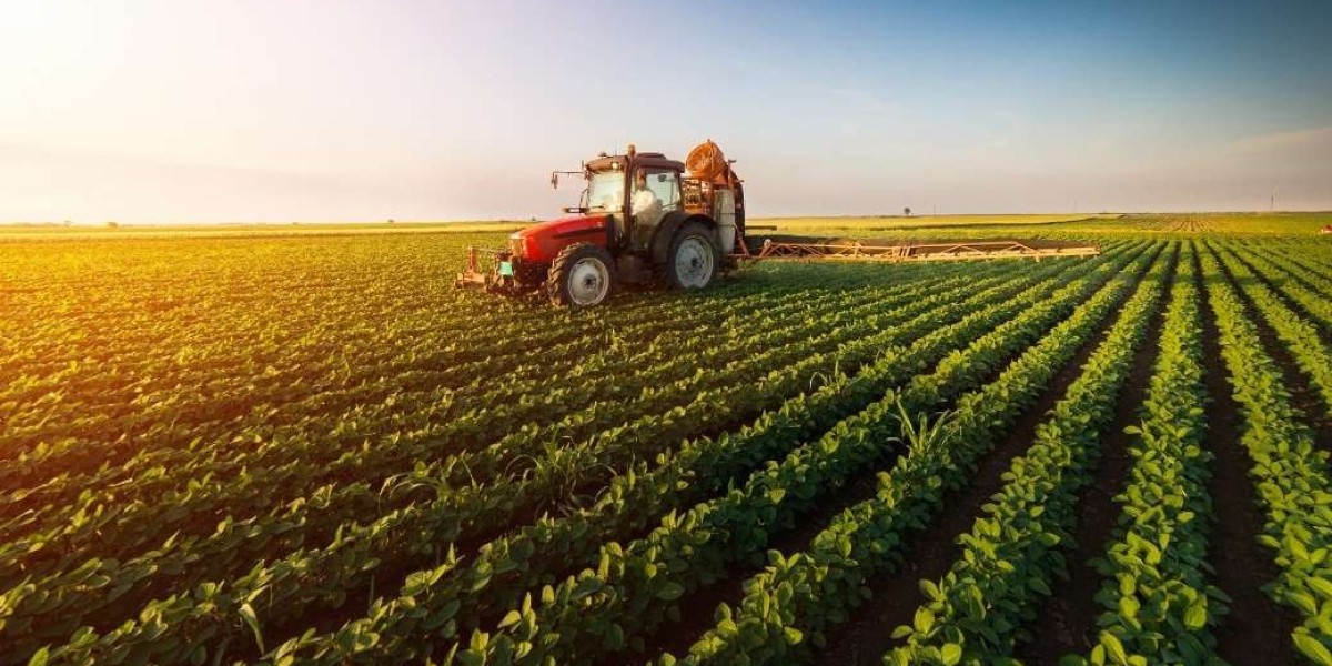 Unlocking the Potential of the Agricultural Enzymes Market: A Green Revolution in the Making
