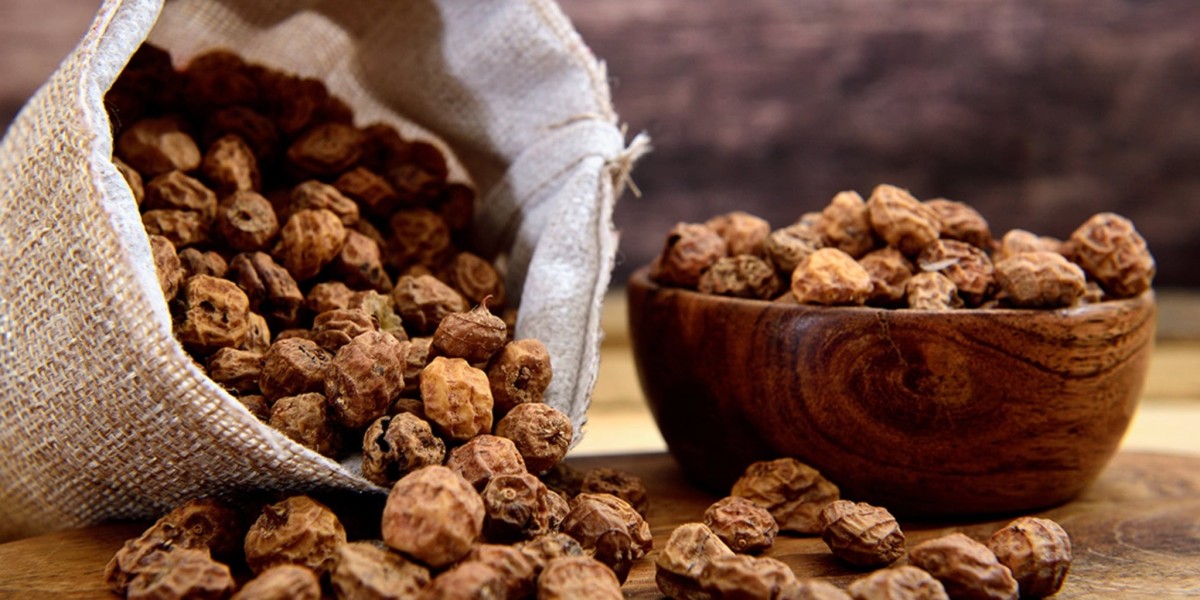 Tiger Nuts Market is Expected to Gain Popularity Across the Globe by 2031