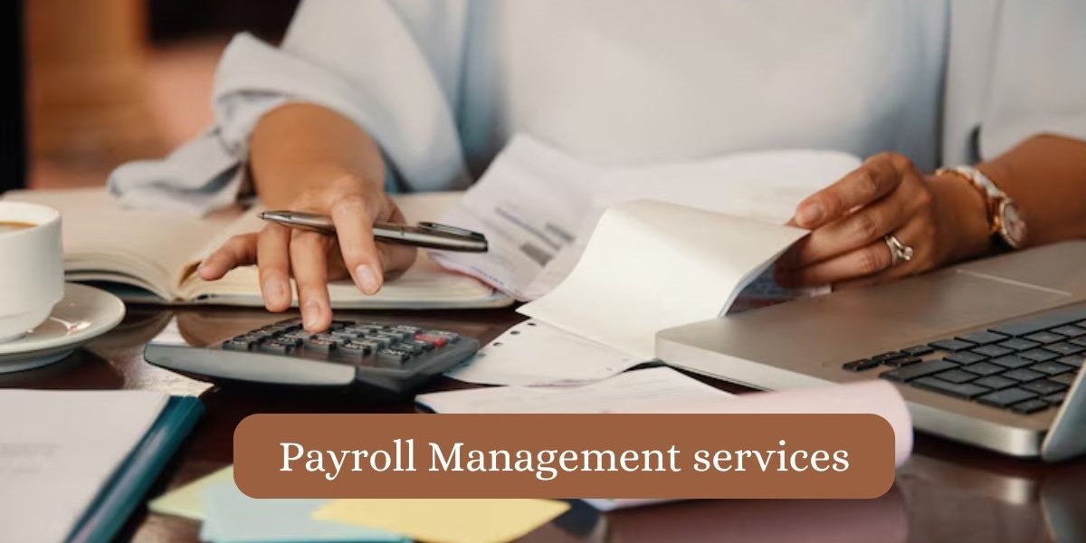 Top Payroll Management & Best Bookkeeping Services in Houston | Tercelservices.