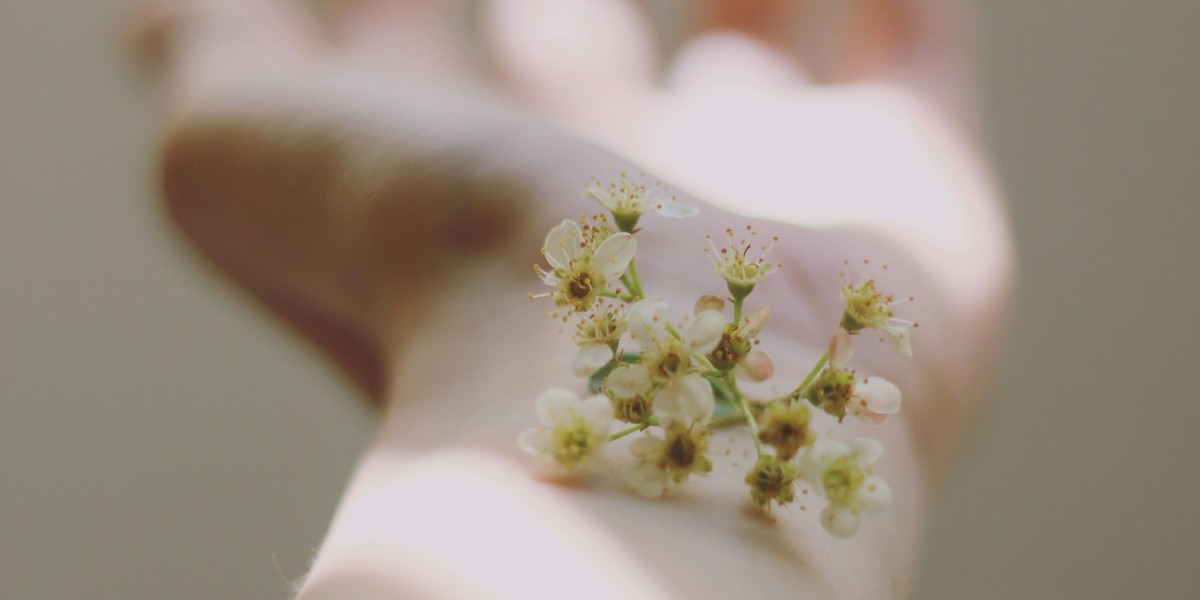 Top Benefits of Seeing an Allergy Specialist