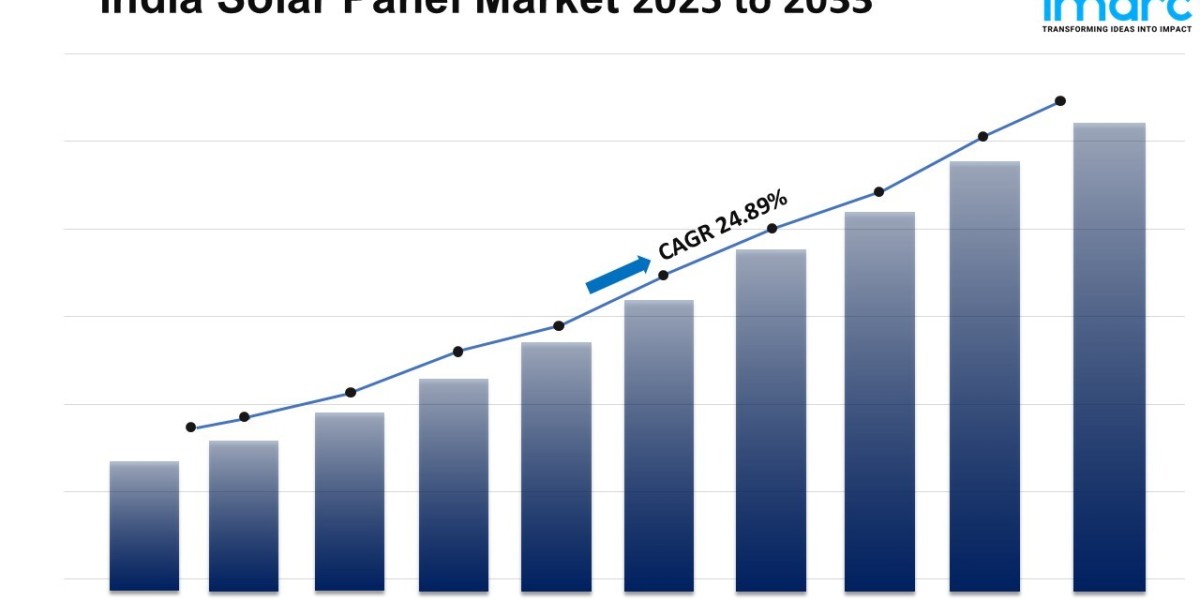 India Solar Panel Market Analysis: Drivers and Forecast 2025 2025-2033