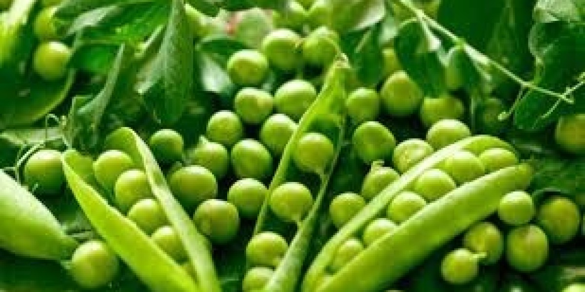 Peas Processing Plant Setup - Detailed Project Report, Cost and Revenue
