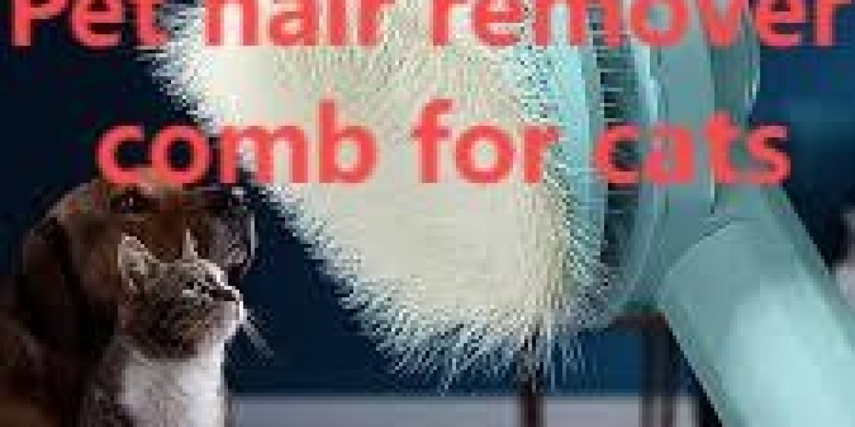 Caring for Your Pet with Comfort in Mind