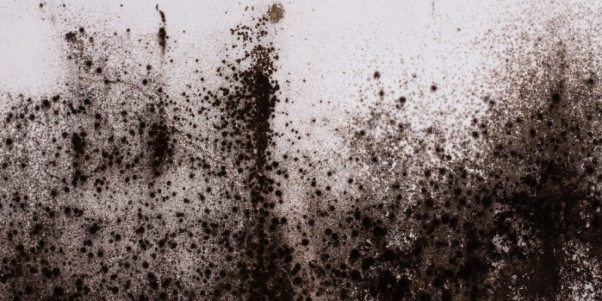 Affordable Mould Remediation in Monaghan Homes