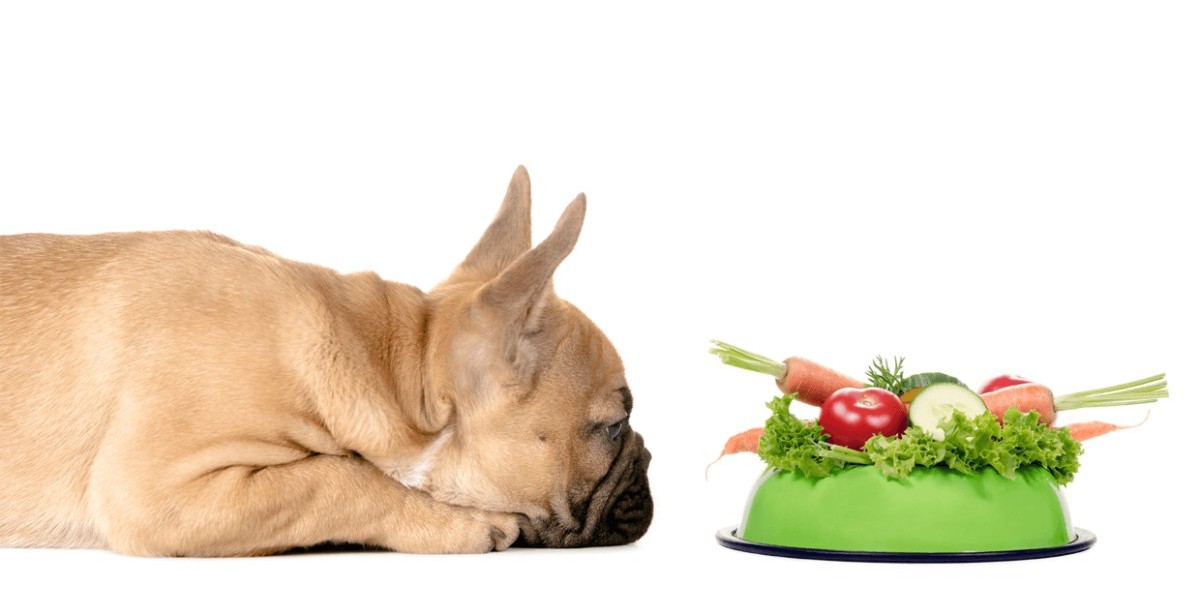 Vegan Dog Food Market Competitive Landscape: Leading Brands and Their Strategies for Market Penetration