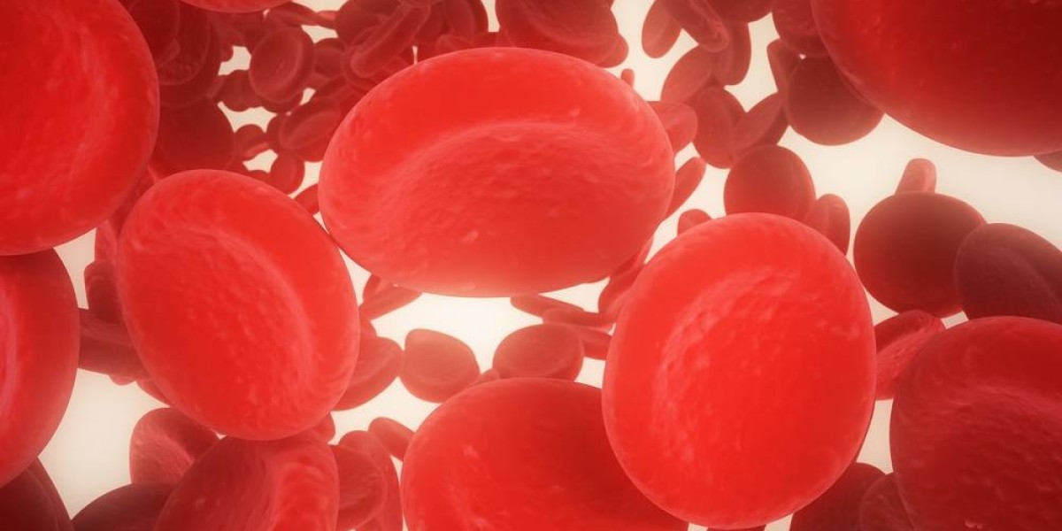 Anticoagulant Reversal Drugs Market Forecast: Projected Growth Fueled by Aging Population and Increasing Cardiovascular 