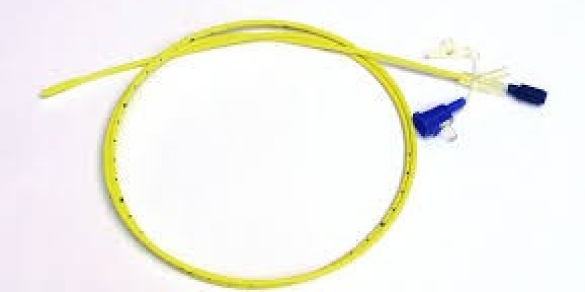 Feeding Tubes Market Innovation (2025–2033): Transforming Nutritional Care
