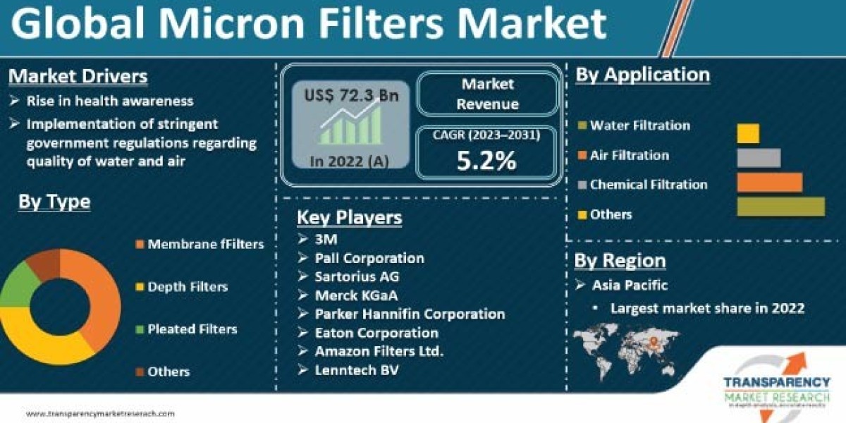 Micron Filters Market is Expected to Gain Popularity Across the Globe by 2031