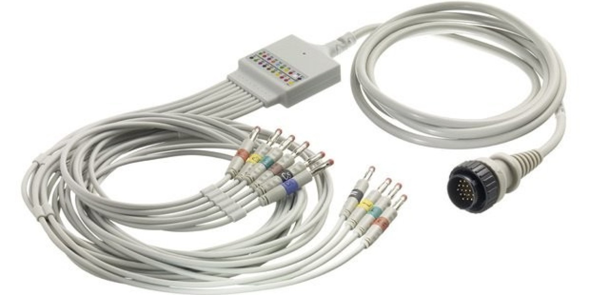 ECG Cables and Lead Wires Market: Growth Drivers and Future Trends