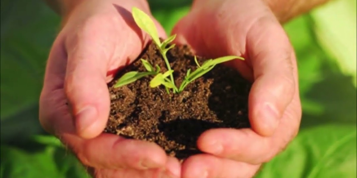 Agricultural Surfactants Market: Key Trends, Growth Drivers, and Future Outlook