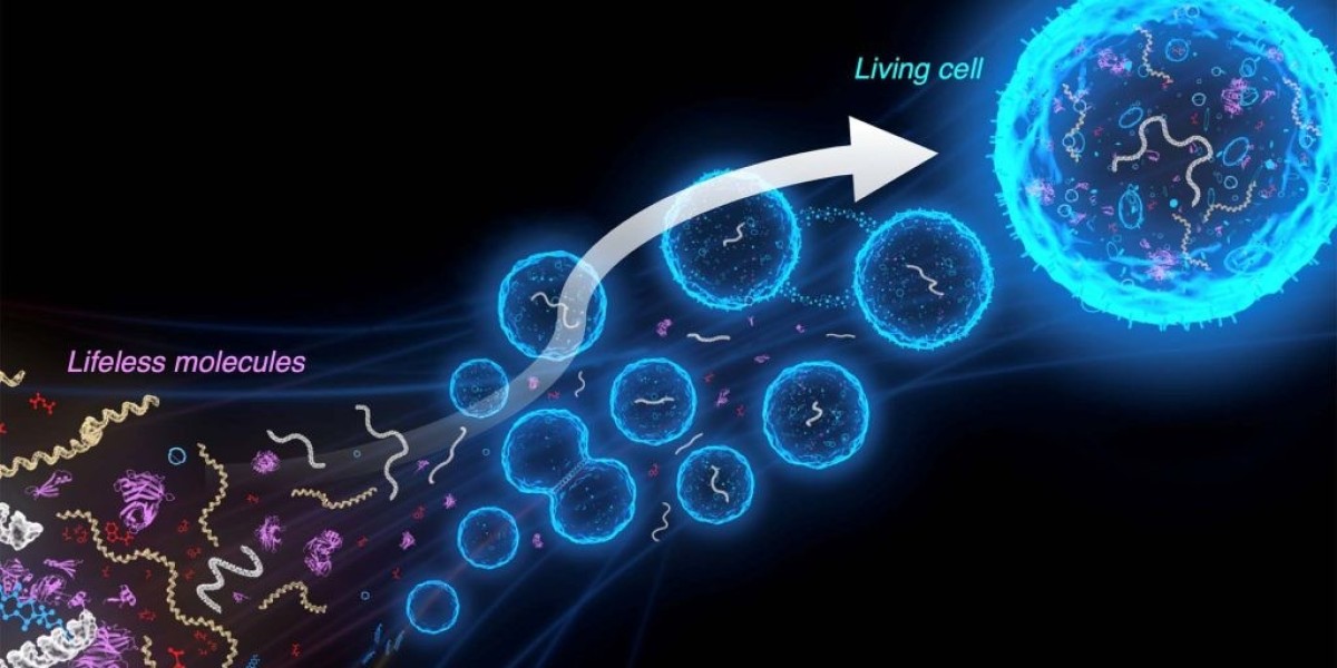 Live Cell Monitoring Market Insights into Emerging Technologies for Drug Discovery and Disease Treatment