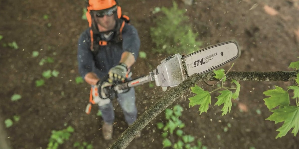 Tree felling Auckland
