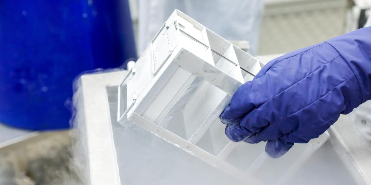 Cold Chain Packaging Market Advances with Smart Monitoring and Eco-Friendly Thermal Packaging Solutions