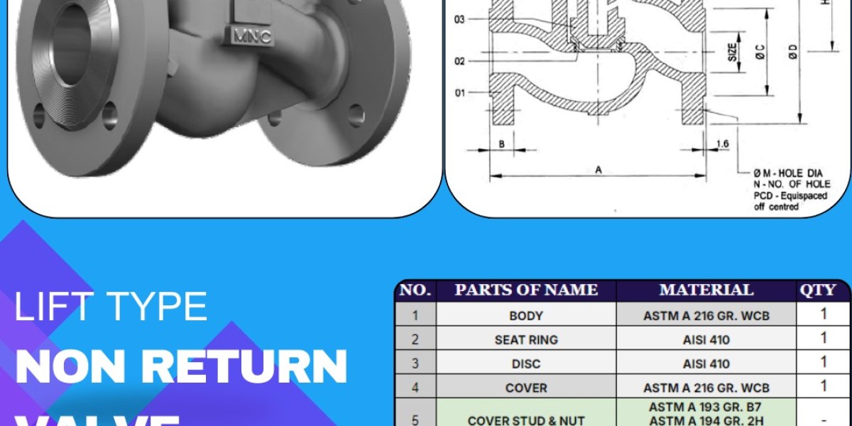 Non Return Valve Manufacturers and Exporter in India