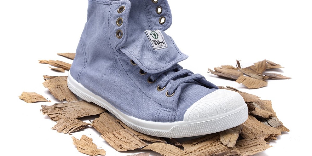 Vegan Footwear Market Strategic Analysis: Market Penetration Strategies and Collaborations Among Leading Brands