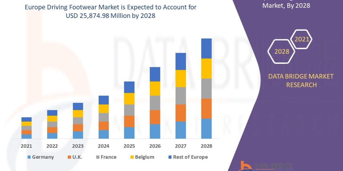 Europe Driving Footwear Market Grows as Demand for Functional Fashion Rises