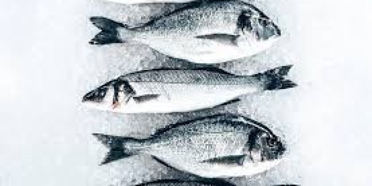 Fish Collagen Market Intelligence: Understanding Trends, Opportunities, and Strategic Insights