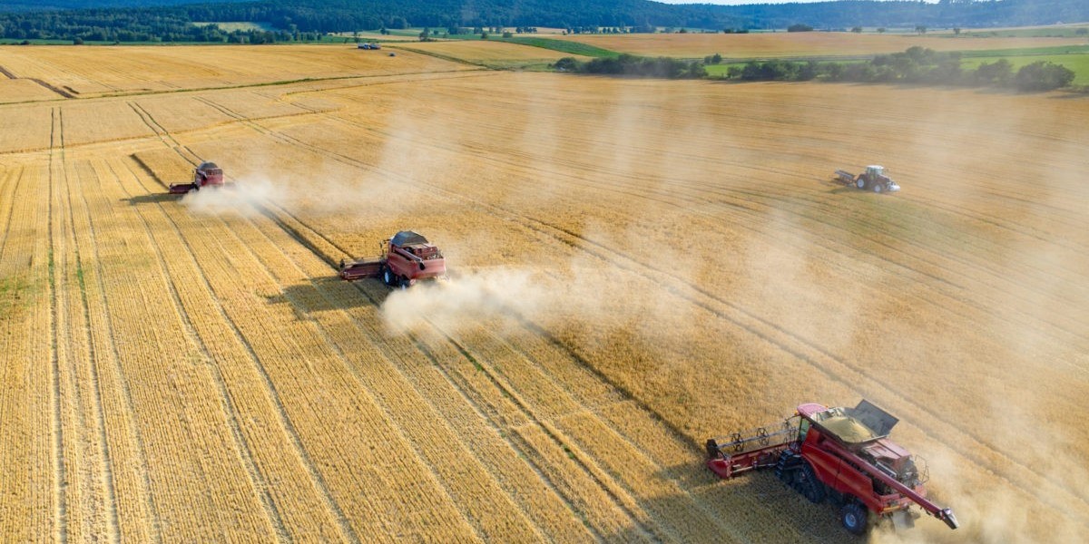 How to Choose the Right Tillage Tools in Brownsville, TN?