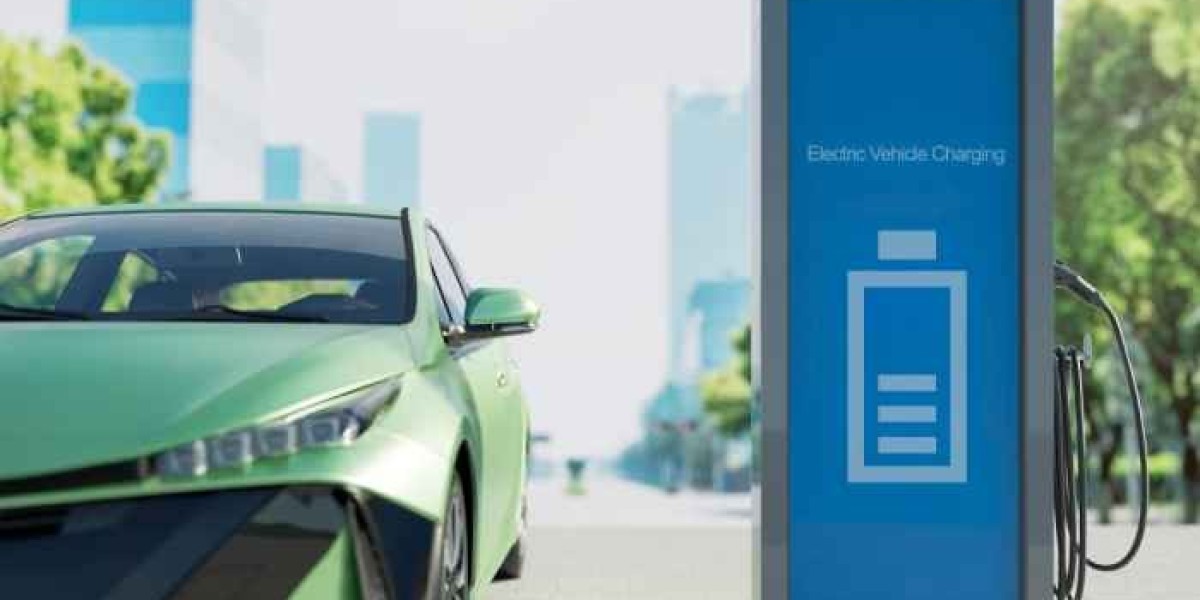 A Market in Motion: Electric Passenger Vehicles