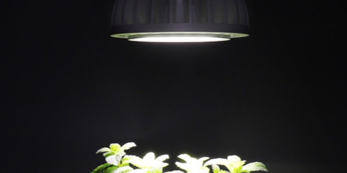 Energy-Efficient PAR30 LED Light Bulbs for Indoor and Outdoor Lighting – Long-Lasting, Bright Illumination with Superior