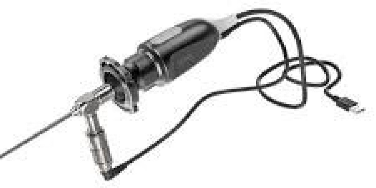 Medical Camera Market: Winning Strategies for Sustained Success and Growth