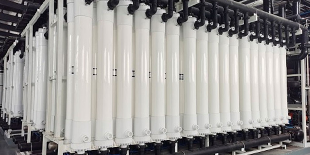 Ultrafiltration Membranes Market Forecast: Projections Highlight Robust Global Growth Trajectory