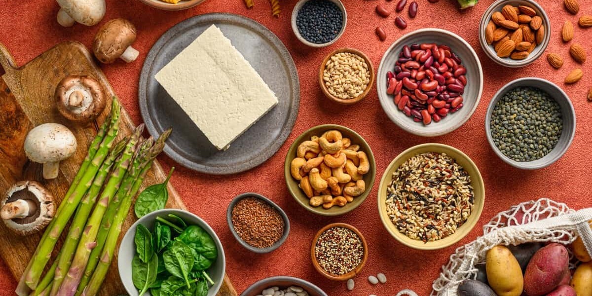 Plant-based Protein Market Dynamics: Understanding Forces Shaping Industry Growth