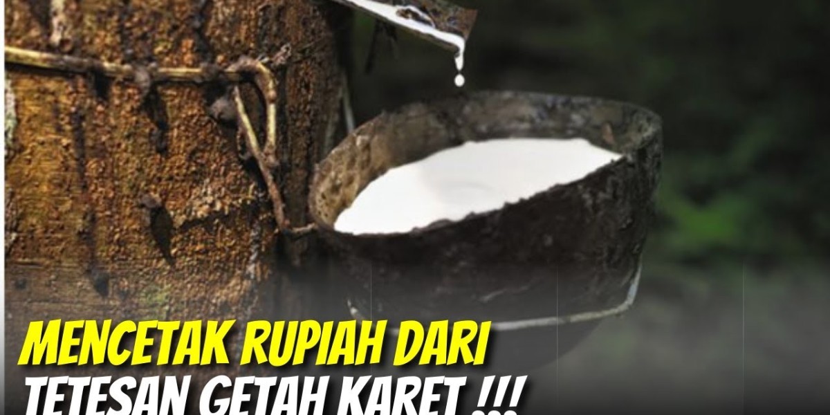 Natural Rubber Market: Sustaining Global Industries Through Innovation and Sustainability