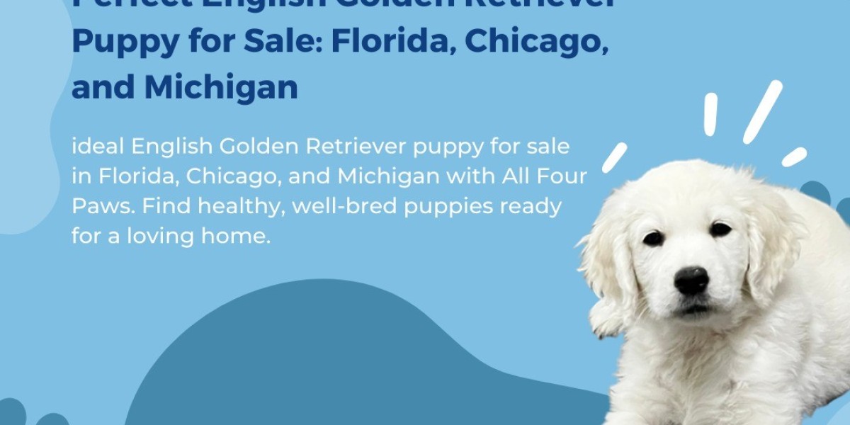 Champion Bred Golden Retrievers and Puppies in Indiana, Midwest, and Florida – Top Bloodlines