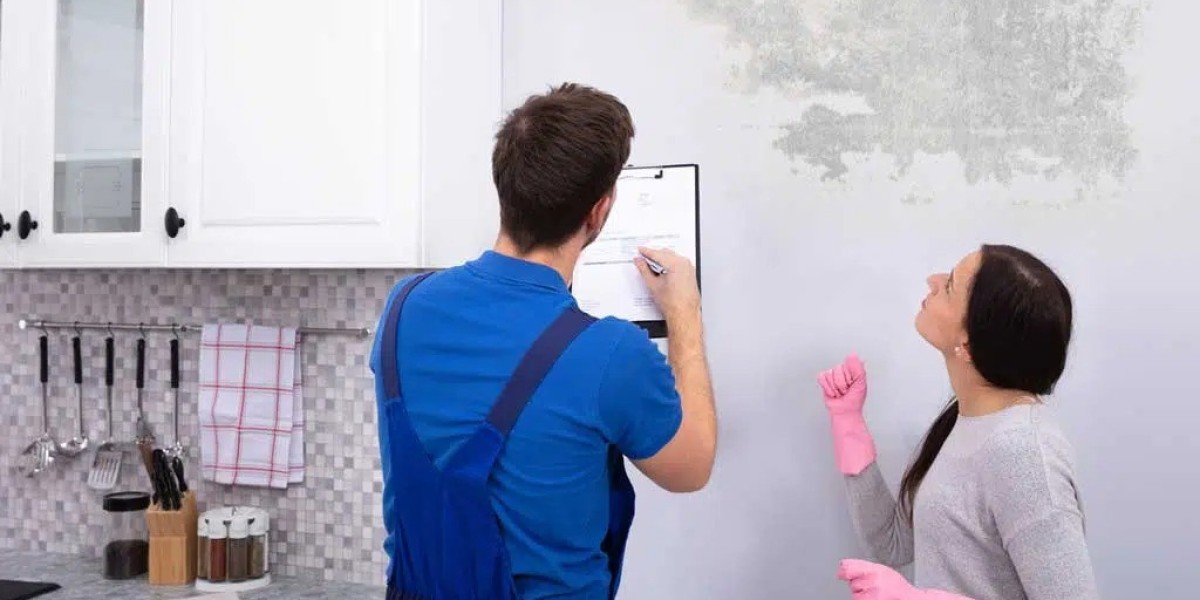 How Mold Testing Can Help You Avoid Costly Health Issues