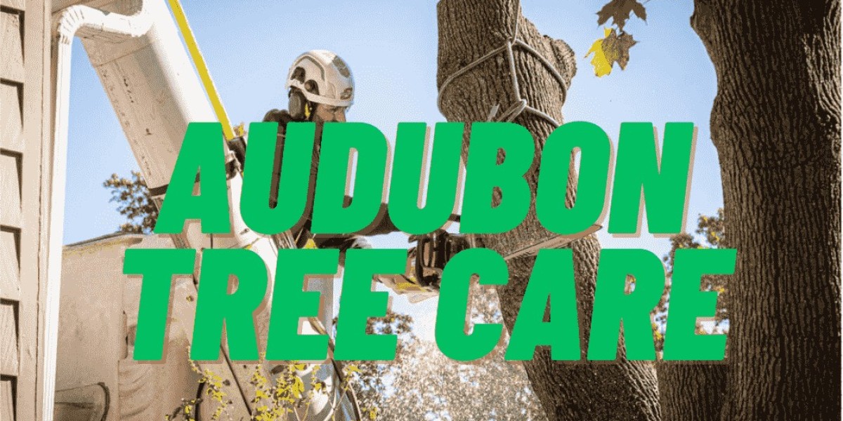Audubon Tree Care: Where Quality Tree Services Meet Expertise