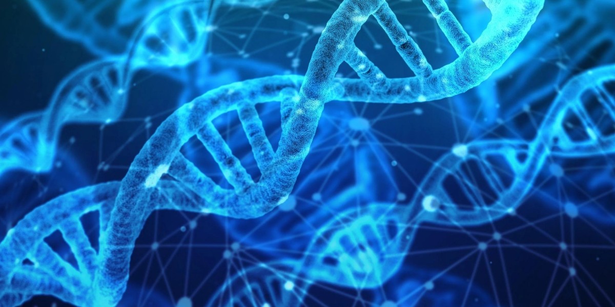 Global T4 DNA Ligase Market: Role in Vaccine Development and Personalized Medicine