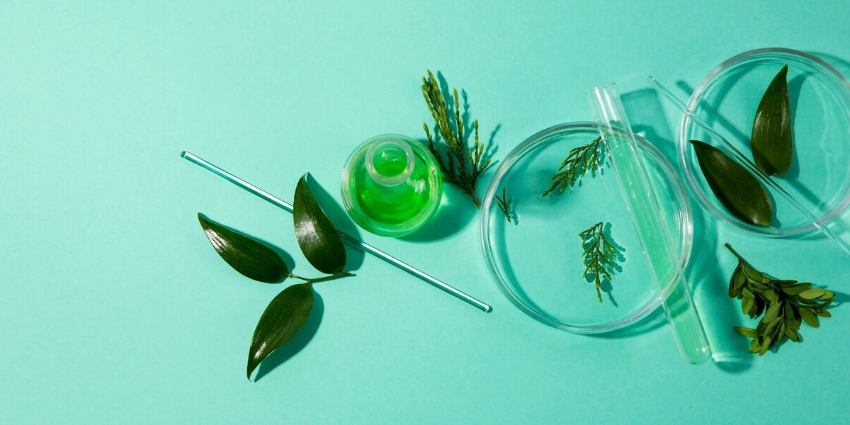 Forecasting the Future: Sustainable Pharmaceutical Packaging Market Size & Strategic Insights (2025–2035)