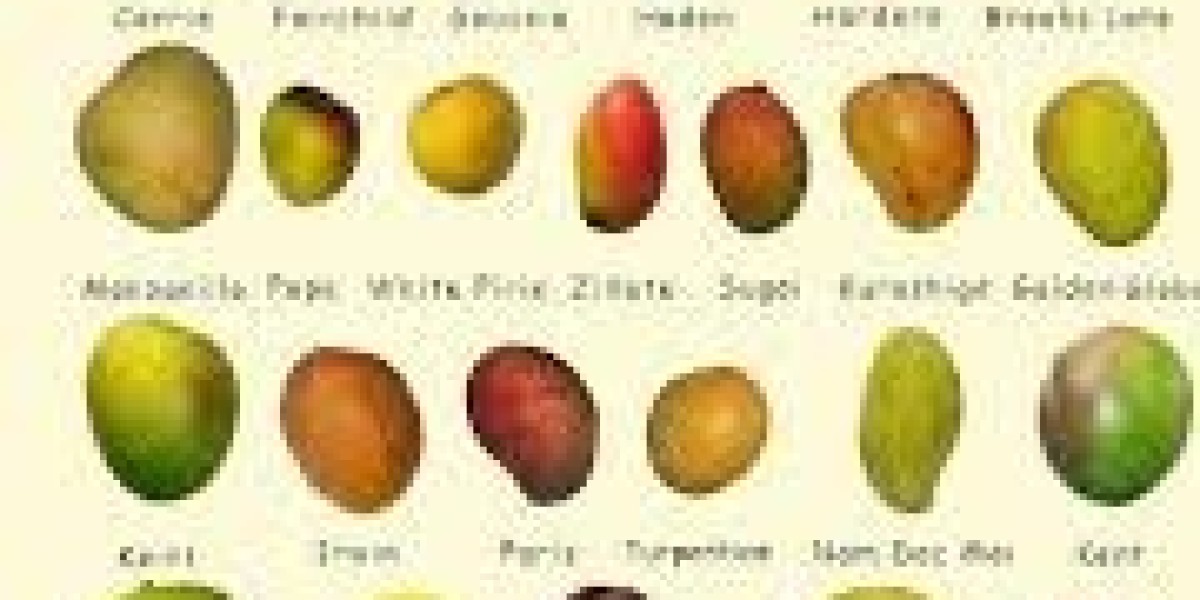 Exploring the Delicious World of Mango Varieties
