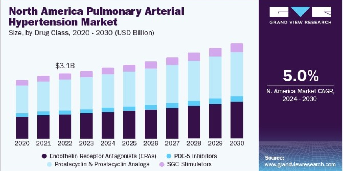 Pulmonary Arterial Hypertension Market Focused on Patient-Centric Solutions