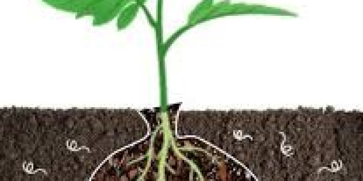 Bionematicides Market Strategic Moves Shaping Innovation, Expansion, and Sustainable Agricultural Practices Worldwide