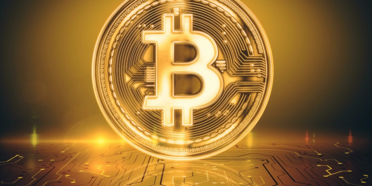 Gemini is a popular platform