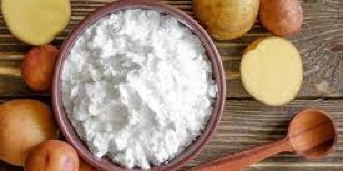 Native Starch Market Growth: Capitalizing on Growth in Biodegradable and Sustainable Packaging Solutions