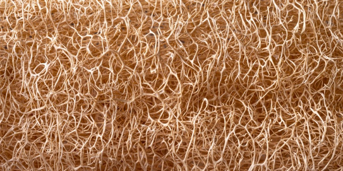Hemp Fiber Market Trends 2025: Growth Opportunities and Key Players