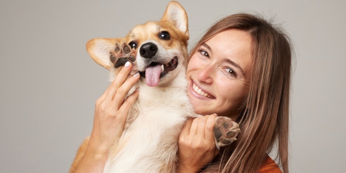 Keeping Pets and Homes Fresh - Smart Tips for Pet Health and Odor Control