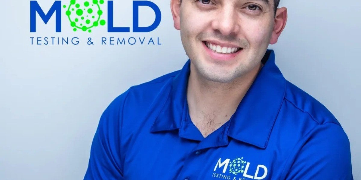 Top 10 Mold Testing Companies in Los Angeles (2025 Update)