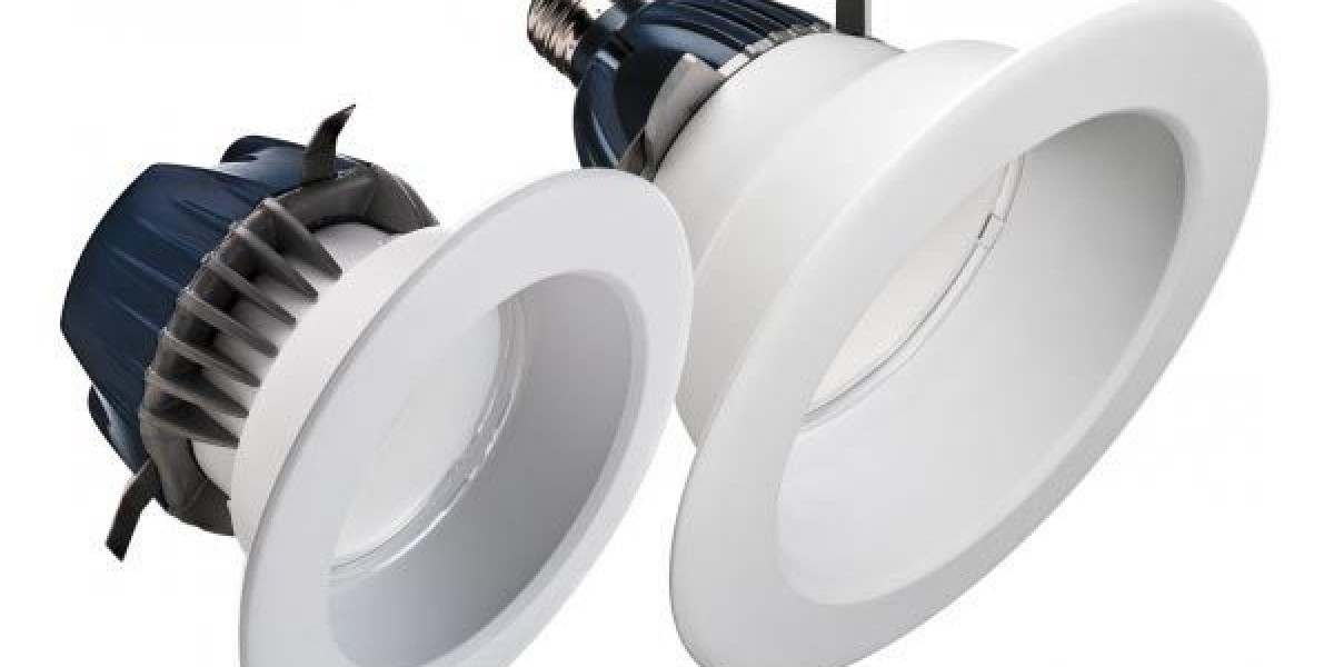 LED Down Lights Manufacturing Plant Report 2025: Detailed Process Flow, Setup Cost, and Revenue