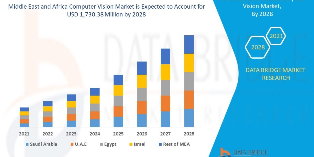 Middle East and Africa Computer Vision Market Trends: Growth, Share, Value, Size, and Insights