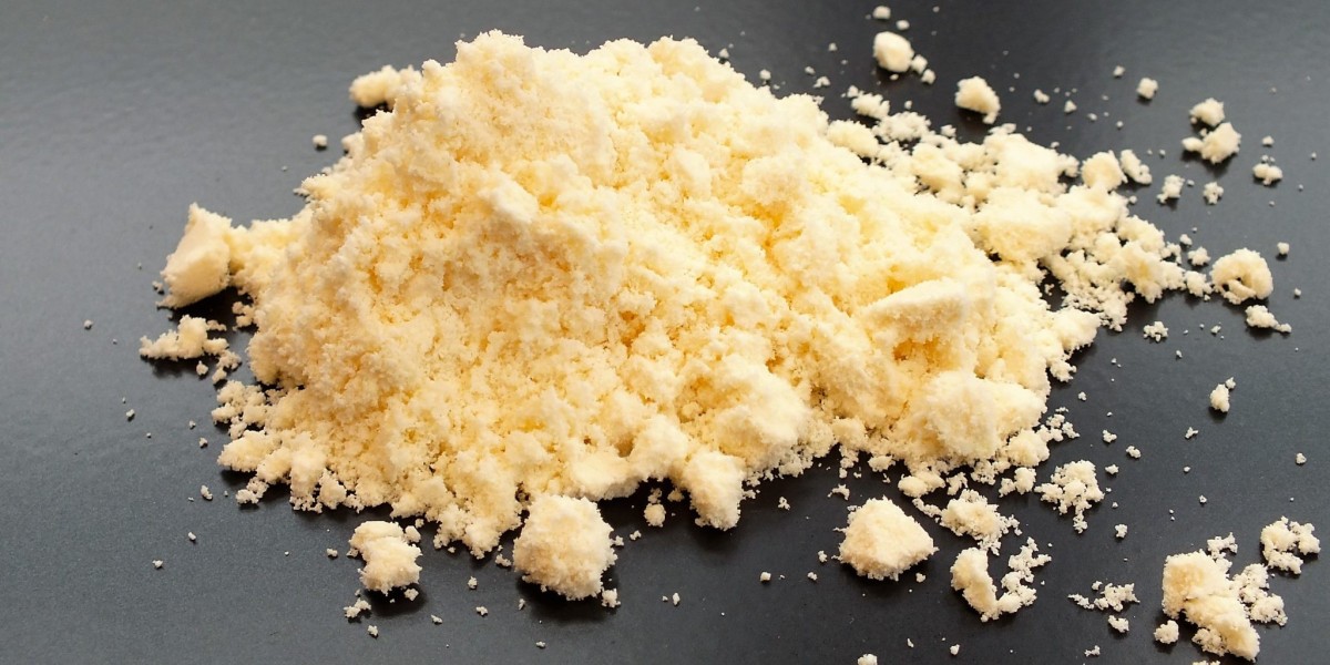 Cheese Powder Market Dynamics Highlight Rising Demand for Plant-Based and Clean-Label Products