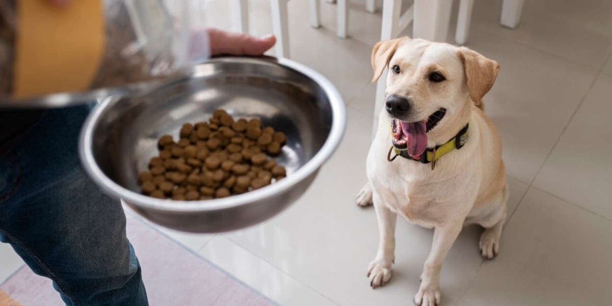 Dog Food Market Dynamics Driven by Lifestyle Changes, Nutritional Demand, and Digital Shopping Trends