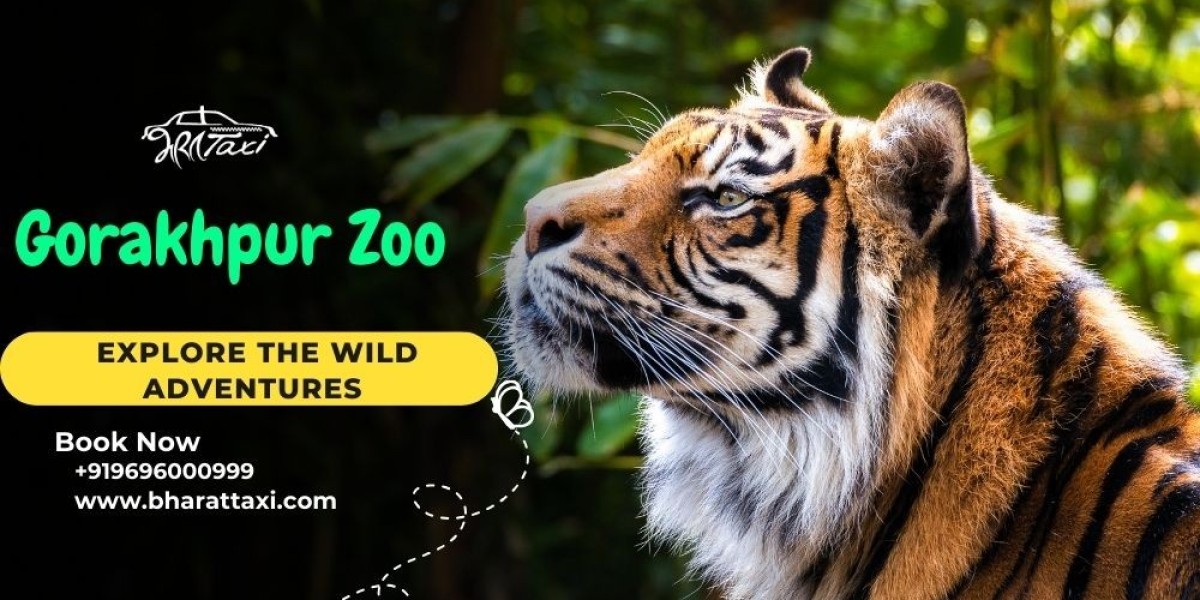 Taxi Trip to Gorakhpur Zoo: A Perfect Day Out