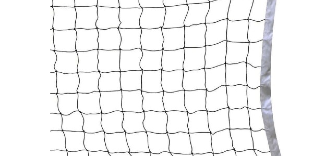 Volleyball Net: Your Complete Guide to Choosing and Setting It Up Right