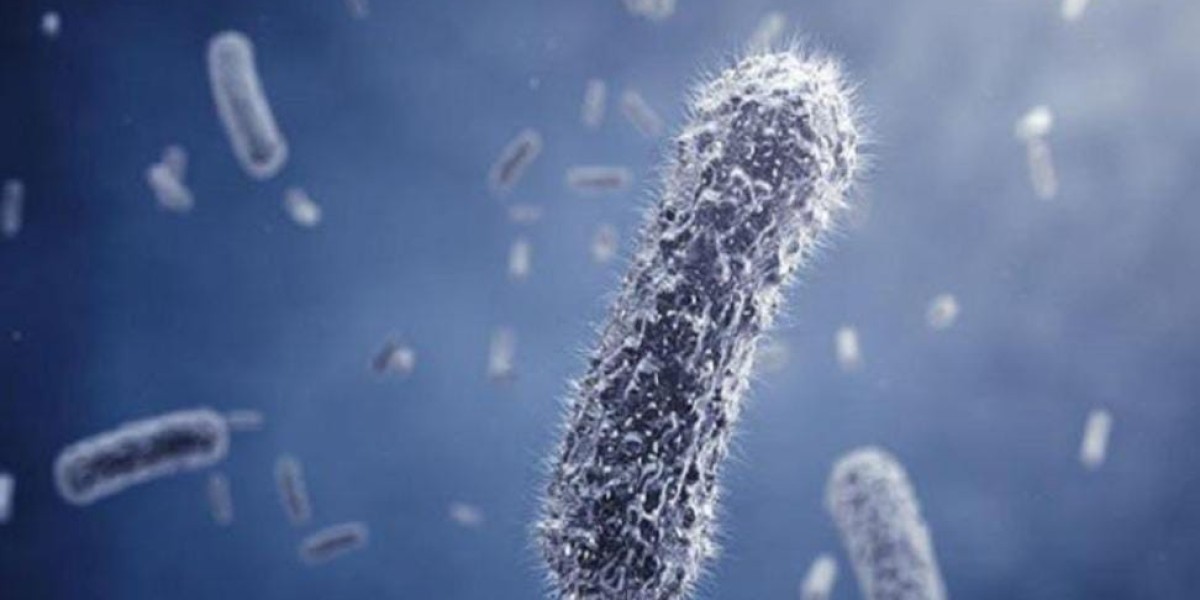 Green Chemistry in Action: Exploring the Growth and Potential of the U.S. Biosurfactants Market