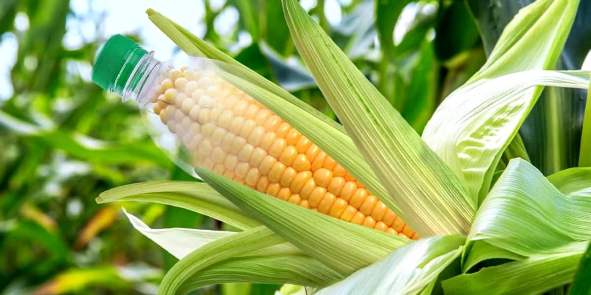 Bioplastic Textiles Market Likely to Disrupt Traditional Fabric Markets Through Environmental Efficiency