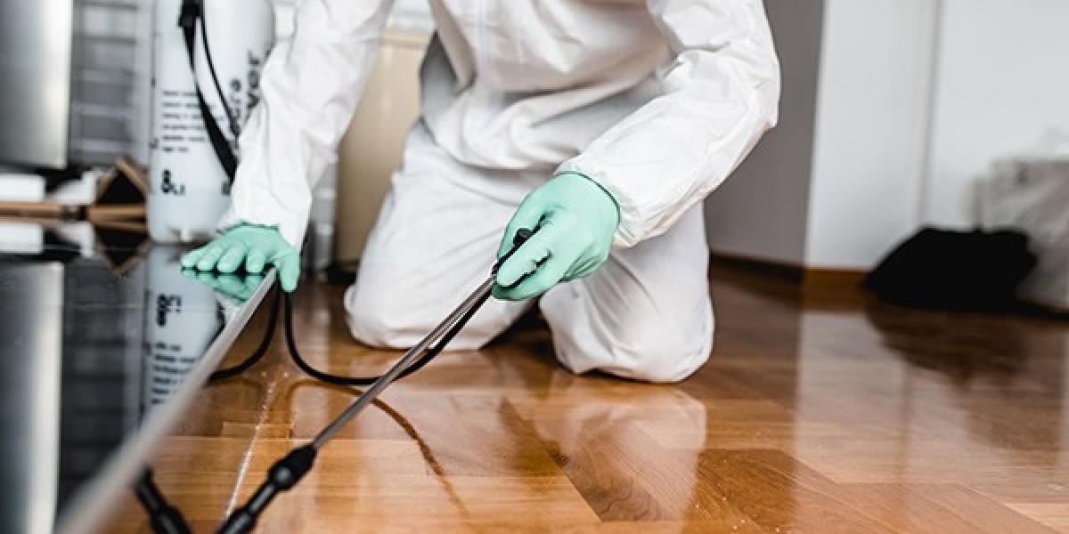 Pest Control Market Dynamics: Shifting Trends, Strategic Developments, and Global Demand Driving Market Evolution